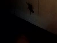 hello we are a young couple and we like to try diffrent things let us now what youre up to........lets treat eachoter with respect