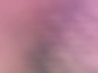 I am here to meet new people and engage in stimulating conversations. And, of course, I am eager to make some extra income. Don